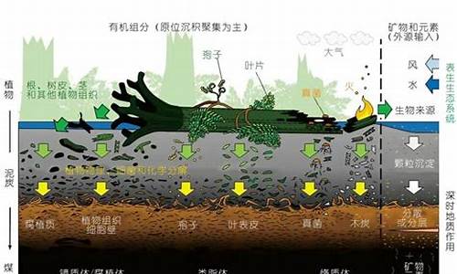 期货高清图(期货行情图片)_https://www.hbxfywj.com_基金知识_第1张