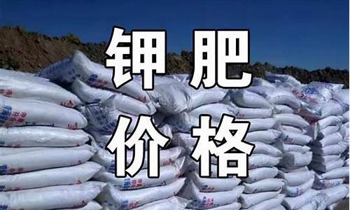 钾肥期货最新消息价格行情(今日铜价期货价格行情最新消息查询)_https://www.hbxfywj.com_期货知识_第1张