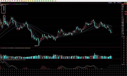 银芝麻期货今日行情(今日芝麻的价格行情)_https://www.hbxfywj.com_证券知识_第1张