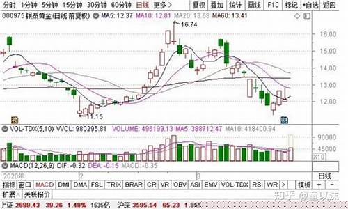 银泰黄金期货今日行情(银泰期货官网)_https://www.hbxfywj.com_证券知识_第1张