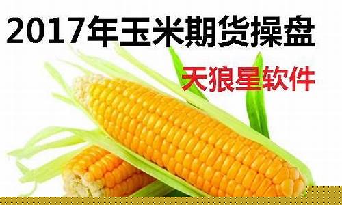 玉米期货行情分析论文(玉米期货行业分析)_https://www.hbxfywj.com_证券知识_第1张