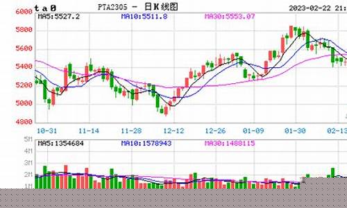 pp期货实时行情走势分析(pp期货行情中心)_https://www.hbxfywj.com_基金知识_第1张