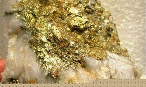 化验矿石去什么地方(化验矿石要去什么机构化验)_https://www.hbxfywj.com_证券知识_第1张