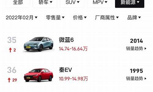 新能源车销量排名前十名品牌(新能源车质量排名)_https://www.hbxfywj.com_证券知识_第1张