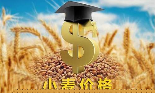 期货小麦的价格行情怎么样(小麦期货行情分析)_https://www.hbxfywj.com_股票知识_第1张