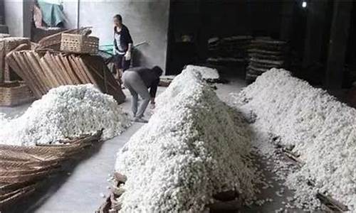 蚕茧期货今日行情(纽约原油期货今日行情)_https://www.hbxfywj.com_期货知识_第1张