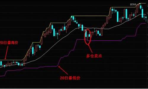 期货交易海龟法则解析书(海龟交易法则n)_https://www.hbxfywj.com_股票知识_第1张