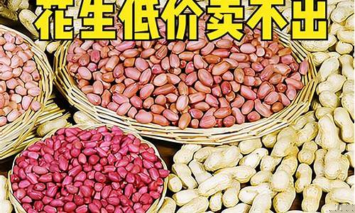 期货花生米价格行情最新(花生期货价格今日)_https://www.hbxfywj.com_证券知识_第1张