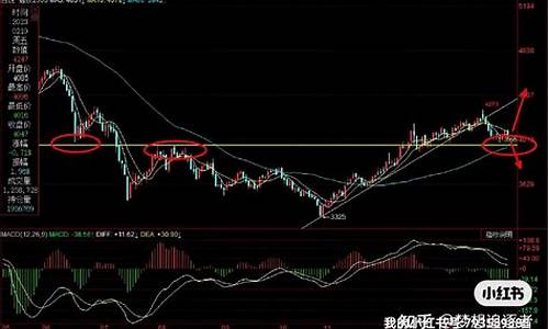 嘉兴螺纹期货行情在哪看(嘉兴螺纹钢多少钱一吨)_https://www.hbxfywj.com_期货知识_第1张