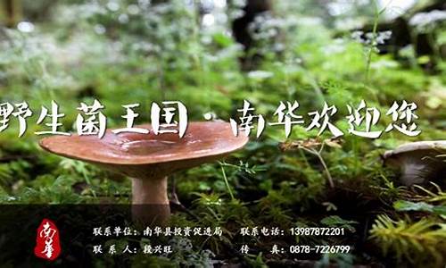 野生菌创业项目概述(野生菌项目计划书)_https://www.hbxfywj.com_期货知识_第1张
