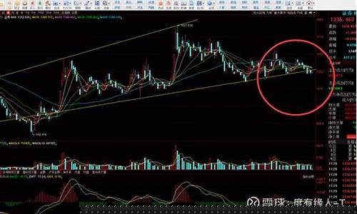 证券板块指数在哪里看(证券板块指数怎么看)_https://www.hbxfywj.com_证券知识_第1张