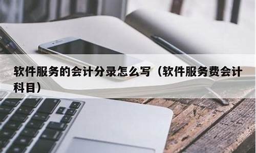 软件服务费是否计入无形资产(软件服务费会计分录)_https://www.hbxfywj.com_基金知识_第1张
