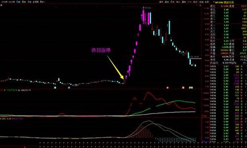 连板妖股首板指标(连板妖股必用副图指标)_https://www.hbxfywj.com_基金知识_第1张