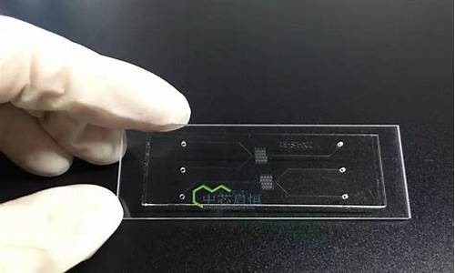 微流控pdms芯片定制(微流控芯片检测系统)_https://www.hbxfywj.com_期货知识_第1张