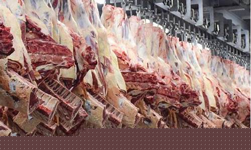 牛肉期货交易平台(牛肉期货市场)_https://www.hbxfywj.com_证券知识_第1张