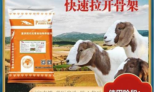 牛饲料的配方怎么配才长得快(牛饲料配方及制作方法)_https://www.hbxfywj.com_期货知识_第1张