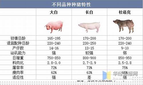 种猪价格(种猪价格近三年)_https://www.hbxfywj.com_股票知识_第1张