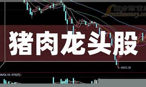 猪肉概念股(猪肉概念股票)_https://www.hbxfywj.com_股票知识_第1张