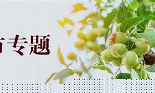 红枣期货上市新闻视频直播(红枣期货最新消息今天走势)_https://www.hbxfywj.com_证券知识_第1张