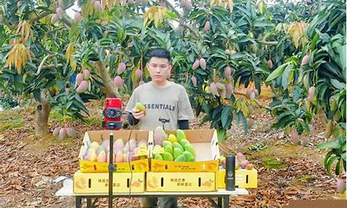 芒果期货的直播室(申城国际期货直播室)_https://www.hbxfywj.com_证券知识_第1张