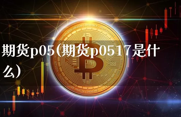 期货p05(期货p0517是什么)_https://www.hbxfywj.com_证券知识_第1张