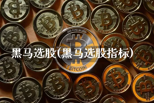黑马选股(黑马选股指标)_https://www.hbxfywj.com_基金知识_第1张