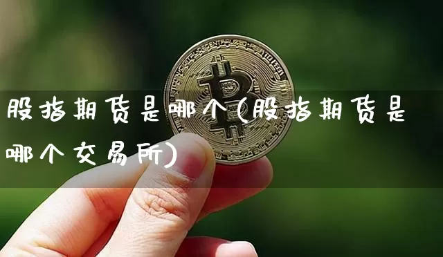 股指期货是哪个(股指期货是哪个交易所)_https://www.hbxfywj.com_股票知识_第1张