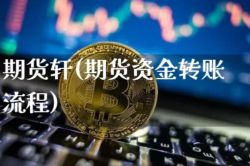 期货轩(期货资金转账流程)_https://www.hbxfywj.com_基金知识_第1张