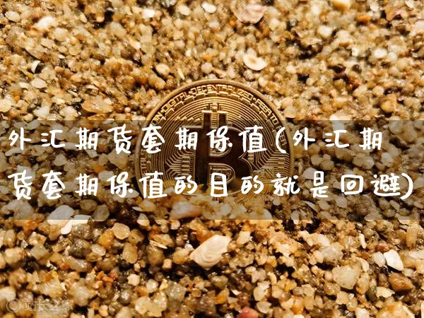 外汇期货套期保值(外汇期货套期保值的目的就是回避)_https://www.hbxfywj.com_基金知识_第1张