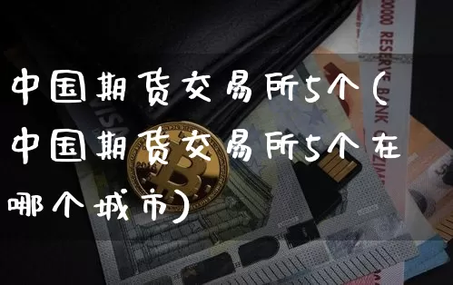 中国期货交易所5个(中国期货交易所5个在哪个城市)_https://www.hbxfywj.com_股票知识_第1张