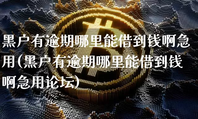 黑户有逾期哪里能借到钱啊急用(黑户有逾期哪里能借到钱啊急用论坛)_https://www.hbxfywj.com_股票知识_第1张