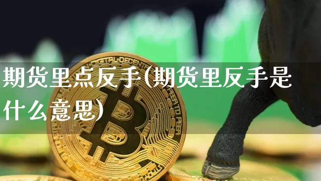 期货里点反手(期货里反手是什么意思)_https://www.hbxfywj.com_股票知识_第1张