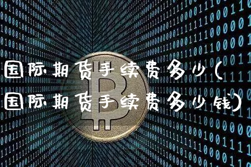 国际期货手续费多少(国际期货手续费多少钱)_https://www.hbxfywj.com_期货知识_第1张