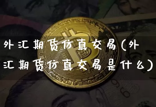 外汇期货仿真交易(外汇期货仿真交易是什么)_https://www.hbxfywj.com_基金知识_第1张