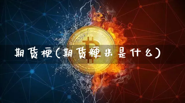 期货梗(期货粳米是什么)_https://www.hbxfywj.com_基金知识_第1张