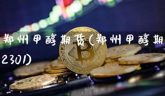郑州甲醇期货(郑州甲醇期货2301)_https://www.hbxfywj.com_证券知识_第1张