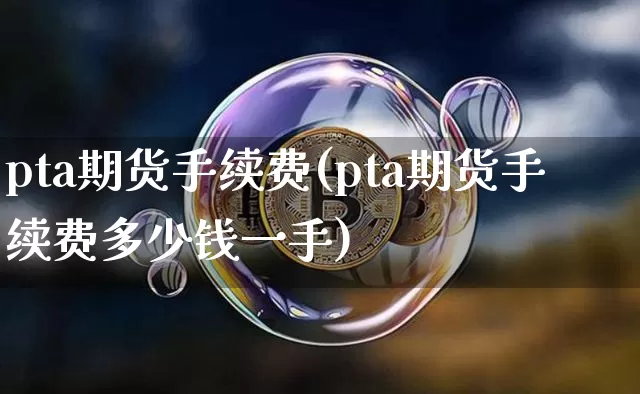 pta期货手续费(pta期货手续费多少钱一手)_https://www.hbxfywj.com_期货知识_第1张
