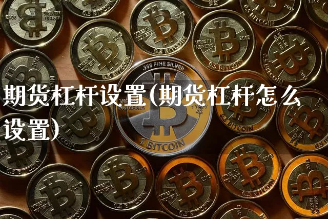 期货杠杆设置(期货杠杆怎么设置)_https://www.hbxfywj.com_股票知识_第1张