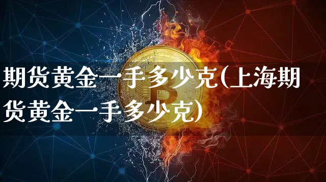 期货黄金一手多少克(上海期货黄金一手多少克)_https://www.hbxfywj.com_证券知识_第1张