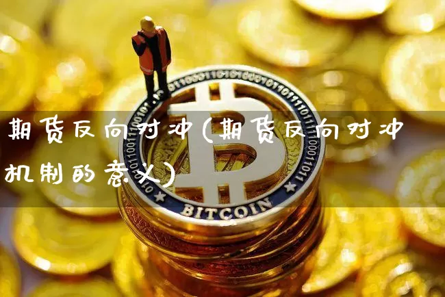 期货反向对冲(期货反向对冲机制的意义)_https://www.hbxfywj.com_证券知识_第1张