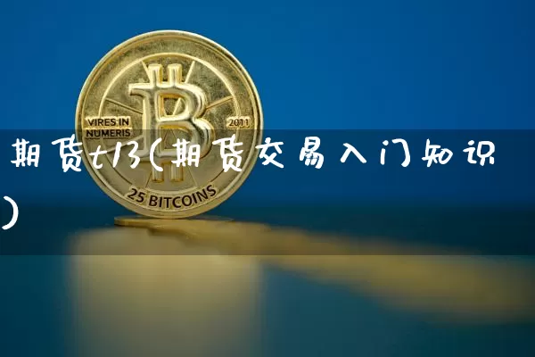 期货t13(期货交易入门知识)_https://www.hbxfywj.com_股票知识_第1张