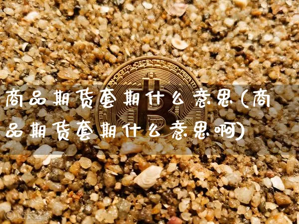 商品期货套期什么意思(商品期货套期什么意思啊)_https://www.hbxfywj.com_基金知识_第1张