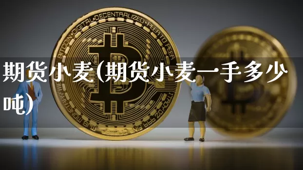 期货小麦(期货小麦一手多少吨)_https://www.hbxfywj.com_基金知识_第1张