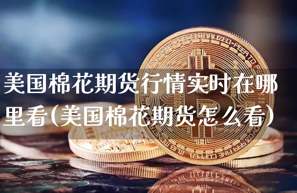 美国棉花期货行情实时在哪里看(美国棉花期货怎么看)_https://www.hbxfywj.com_股票知识_第1张