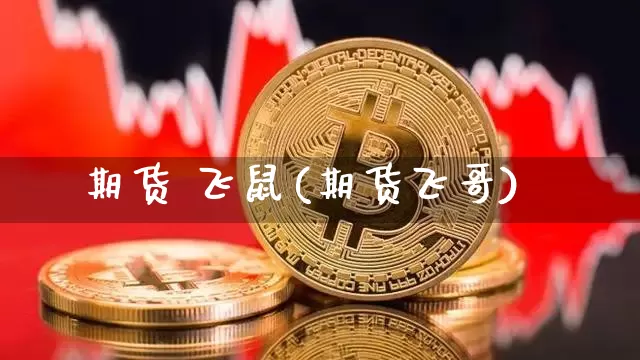 期货 飞鼠(期货飞哥)_https://www.hbxfywj.com_期货知识_第1张