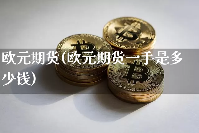欧元期货(欧元期货一手是多少钱)_https://www.hbxfywj.com_证券知识_第1张