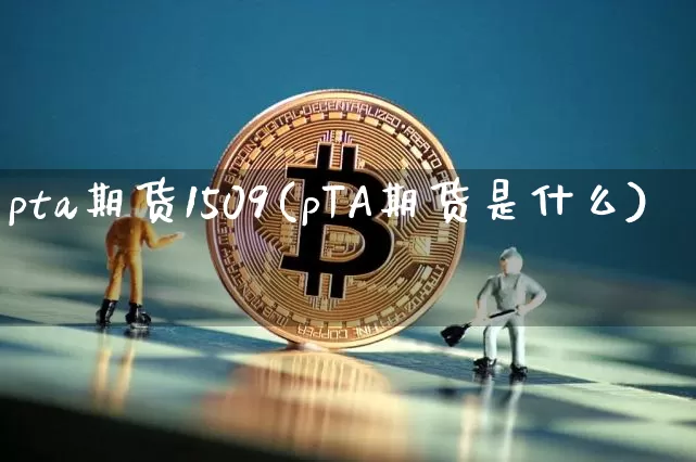 pta期货1509(pTA期货是什么)_https://www.hbxfywj.com_期货知识_第1张