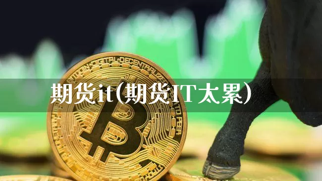 期货it(期货IT太累)_https://www.hbxfywj.com_基金知识_第1张