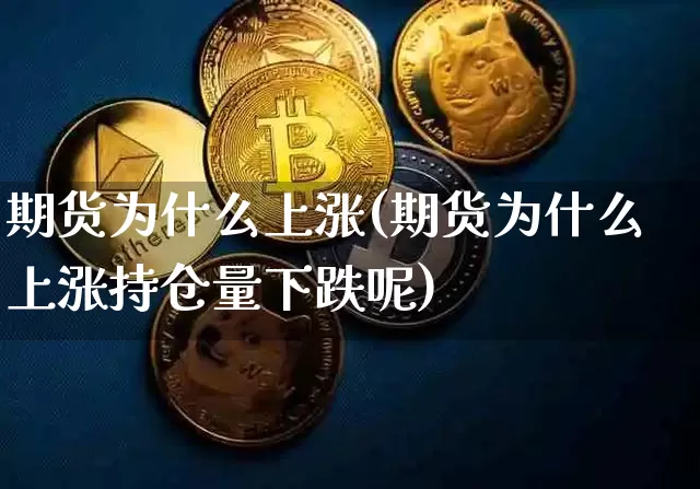 期货为什么上涨(期货为什么上涨持仓量下跌呢)_https://www.hbxfywj.com_证券知识_第1张
