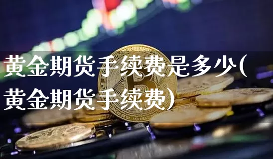黄金期货手续费是多少(黄金期货手续费)_https://www.hbxfywj.com_期货知识_第1张
